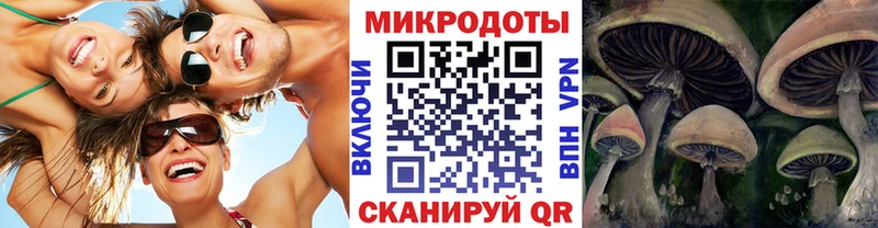 Галлюциногенные грибы Cubensis  Подпорожье 